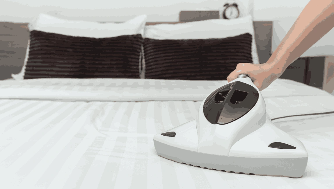 Professional Mattress Cleaning Karingal